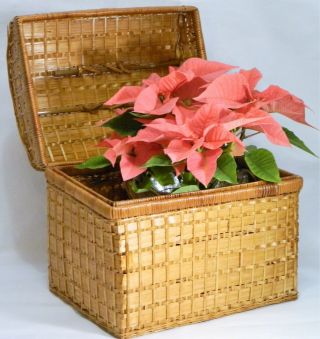 Basket/wicker/rattan/trunk/hinged Chest/storage Box/display/cottage/boho Chic