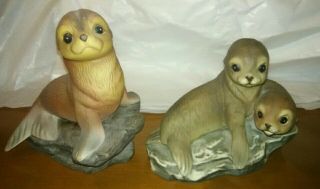 Masterpiece Fine Quality Hand - Painted Porcelain Baby Seals By Homco