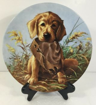 Caught In The Act The Golden Retriever 1987 Knowles Collector Plate Lynn Kaatz