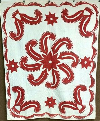 Spectacular Pattern C 1890 - 1900 Princess Feather Album Quilt Plumes Turkey Red