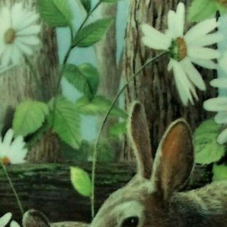 THE RABBIT Plate Encyclopaedia Britannica Friends of the Forest Kevin Daniel 1 3