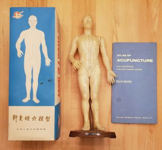 Vintage 50cm Acupuncture Model Plus Acupuncture Training Book