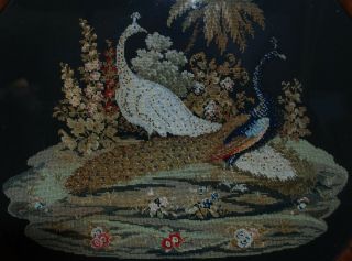 Charming Antique Tapestry Beadwork Picture Peacock/peahen 20 " Circular Frame