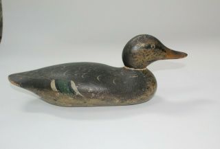 Vintage Hand Painted Wood Duck Decoy,  Glass Eyes,  Paint