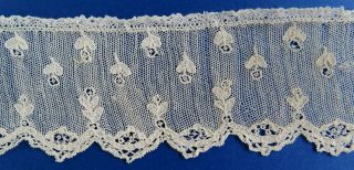 A 300 3/4 " (764cm) Length Of 19th Century Burano Needle Lace - 2 1/2 " (6.  5cm)