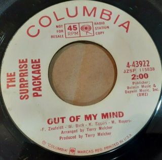 SURPRISE PACKAGE Out of My Mind/Everything Fine PROMO 45 Terry Melcher 2