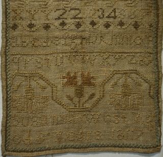 SMALL EARLY 19TH CENTURY ALPHABET & CARNATION SAMPLER BY SUSANNA WEST AGE 8 1817 3