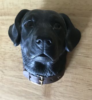 Bossons Chalkware Heads 1968 Black Labrador Retriever Lab Dog
