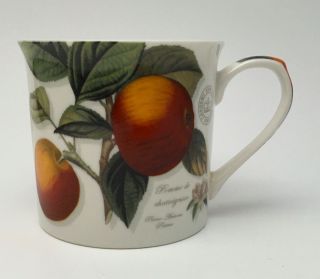 Royal Botanic Garden Kew 9 Oz Coffee Tea Mug Cup Apples Pomme De Chataignier