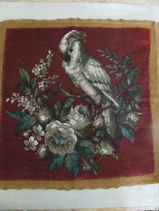 Antique Victorian Beadwork Needlepoint Panel Cockatoo Floral Make A Pillow Fab