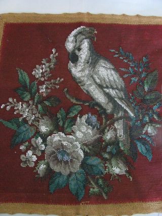ANTIQUE VICTORIAN BEADWORK NEEDLEPOINT PANEL COCKATOO FLORAL MAKE A PILLOW FAB 2