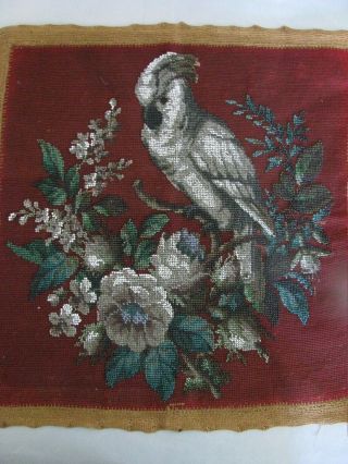 ANTIQUE VICTORIAN BEADWORK NEEDLEPOINT PANEL COCKATOO FLORAL MAKE A PILLOW FAB 3