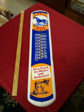 Vintage 1950s Dr Barkers Horse Liniment Metal Thermometer 39 ".  Exc Cond A1
