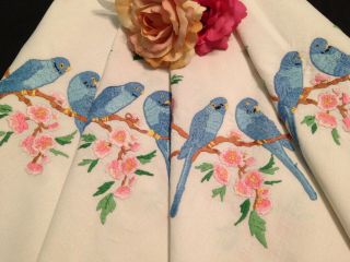 Vintage Hand Embroidered Tablecloth Budgerigars Budgies & Blossom Gorgeous