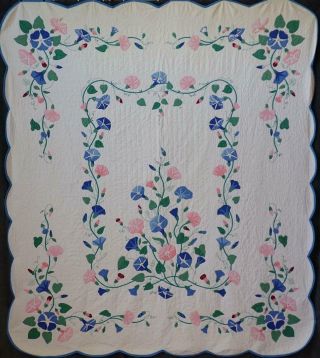 Pattern Morning Glories Vintage Applique Flower Quilt 85x75wear Noted