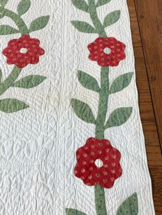 Early Maryland c 1850s ALBUM Wreath Applique Quilt Turkey Red LUSH Quilting 3