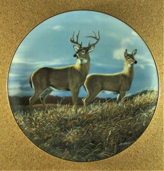 Autumn Hillside Plate Friends Of The Forest Bruce Miller Deer Buck & Doe Fall