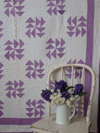 Pretty Vintage 30 - 40s Purple & White Quilt Return Of The Swallows