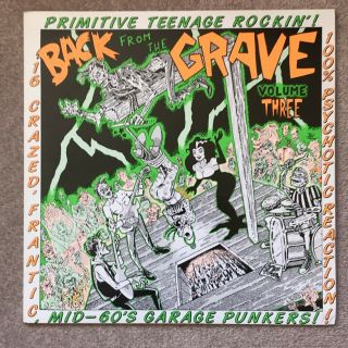 Back From The Grave Volume 3 - Rare Vinyl Lp - Obscure Sixties Garage