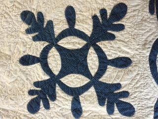 Antique Applique Blue & White Oak Leaf Quilt All Hand Sewn Quilt Border