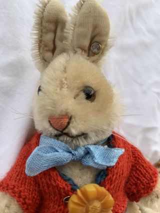 5.  5 " Vintage Steiff Niki Bunny Rabbit W/ Closed Mouth Custom Sweater And Brooch