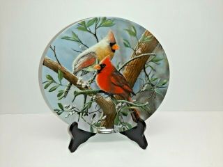 Red Bird Cardinal Art Plate Mated Pair Wildlife Garden Kevin Daniels