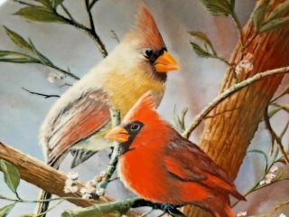 Red Bird Cardinal Art Plate Mated Pair Wildlife Garden Kevin Daniels 2