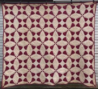 Antique Pine Burr Or Feathered Stars Quilt Circa 1900