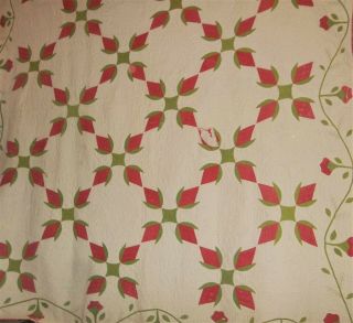 1860s Antique Whig Rose of Sharon Variation Quilt Hand Applique Quilted Feather 2