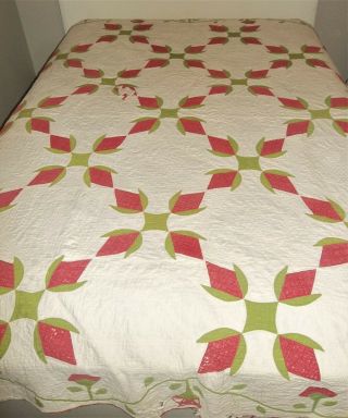 1860s Antique Whig Rose of Sharon Variation Quilt Hand Applique Quilted Feather 3