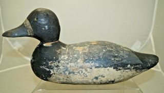 Antique 1910s - 30s Era Wood Hand Carved & Painted Blue Bill Duck Decoy