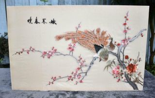 Fine Vintage Chinese / Japanese Hand Embroidered Silk Panel - Peacock Signed