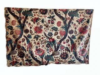 Rare Late 18th/ Early 19th Century French Exotic Floral (2848)