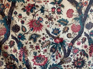 Rare Late 18th/ Early 19th Century French Exotic Floral (2848) 2