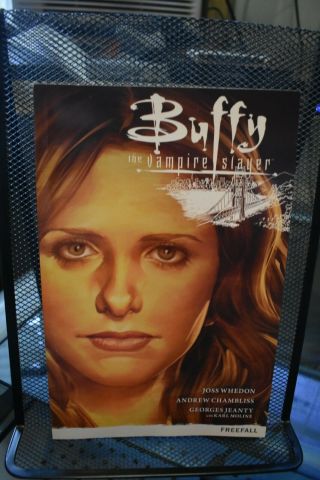 Buffy The Vampire Slayer Season 9 Volume 1 Freefall Dark Horse Tpb