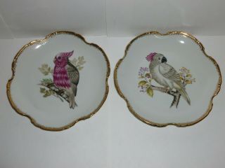 Set Of 2 Vintage Ucagco Decorative Plates - Hand Painted Birds Gold Color Trim