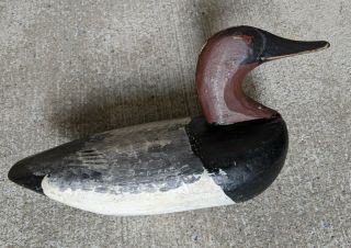 Upper Chesapeake Bay Canvasback Decoy In Repaint Rock Hall Cecil County