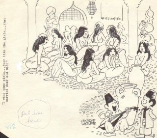 12 Sexy Babes In Harem Gag Art By George Wolfe