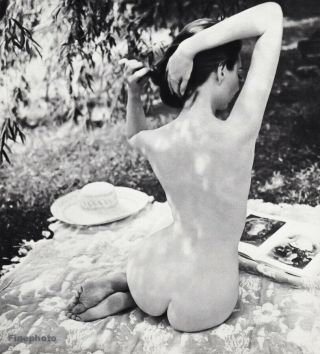 1966 Vintage Female Nude Butt Woman Fashion Art Photo Gravure John Rawlings 8x10