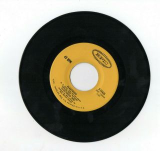 Fleetwood Mac ‎– Albatross / Jigsaw Puzzle Blues 1969 Us 7 " Vinyl Single Vg,