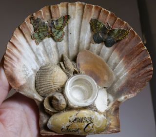 Vintage Antique Victorian Sea Shell Art Seashells Souvenir Lima Ohio Inkwell