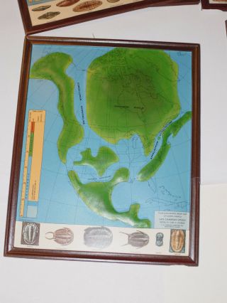 6 VINTAGE 1960s HUBBARD SCIENTIFIC PREHISTORIC RELIEF MAPS NORTH AMERICA 14x18 