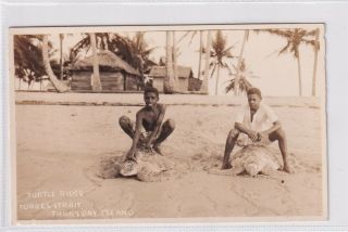 Vintage Postcard Turtle Rides Torres Strait Thursday Island Queensland 1900s