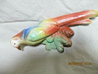 Vintage Colorful Ceramic Bird Parrot Planter Vase Hanging 5951a