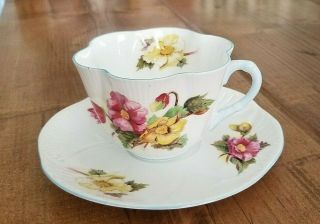 Shelley Fine Bone China Tea Cup And Saucer Begonia Pink Yellow Blue Trim England
