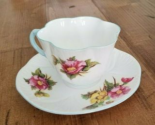 SHELLEY Fine Bone China Tea Cup and Saucer BEGONIA Pink Yellow Blue Trim England 2