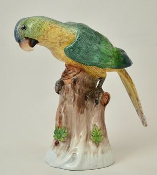 Dresden Porcelain Parrot - Hand Painted Vintage Bird Figurine - Sp Dresden Mark