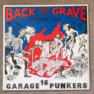 Back From The Grave Volume 2 - Rare Vinyl Lp - Obscure Sixties Garage