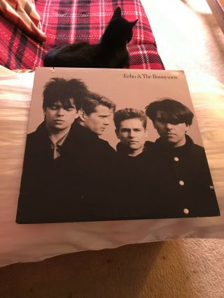 Echo And The Bunnymen Self Titled Sire Release Lp Vinyl (1987)
