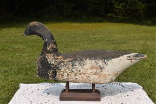 Vintage Early Jersey Brant Wood Duck Decoy 2pc Hollow Body Hunting